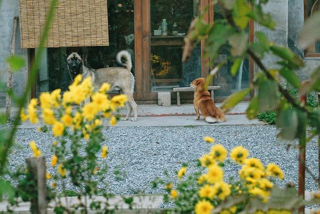 這是一個(gè)自由的私人島嶼，給居民一種舒適、溫暖和愛(ài)的感覺(jué)。在漫長(zhǎng)的歲月里，家是一個(gè)永恒、純潔而強(qiáng)大的存在。